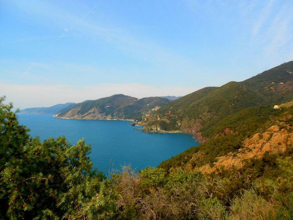 Hotel Pensione Moderna Bonassola Dış mekan fotoğraf